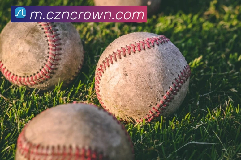 皇冠crown体育平台平台生态图